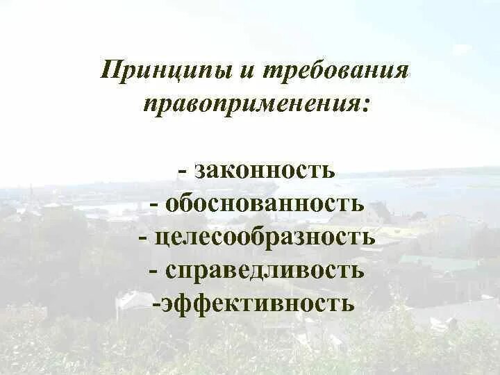 Деятельность правоприменения. Принципы правоприменения. Принципы и требования правоприменения. Принципы эффективного правоприменения. Принципы правоприменительной деятельности.