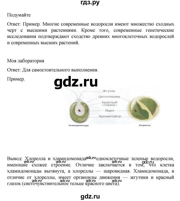 Биология 7 класс стр 26 вопросы ответы