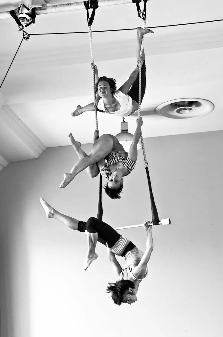 Trapeze перевод. Цирковая гимнастика. Цирковое искусство. Воздушная трапеция. Трапез акробатика.