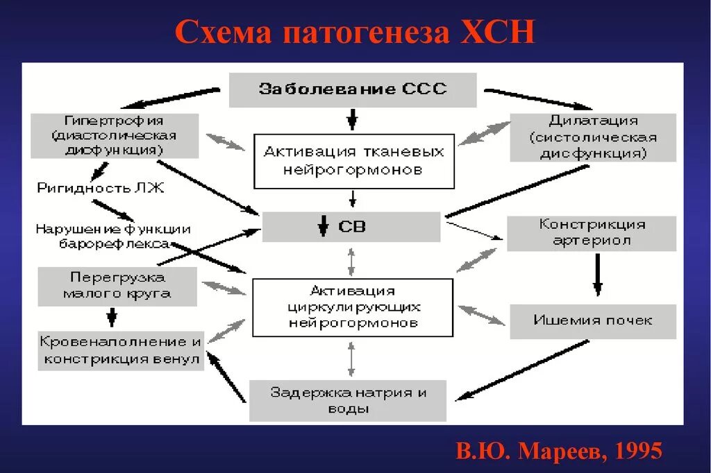 Белок сердечной недостаточности. Схема патогенеза сердечной недостаточности. Патогенез хронической сердечной недостаточности схема. Хроническая сердечная недостаточность патогенез. Механизм развития хронической сердечной недостаточности.