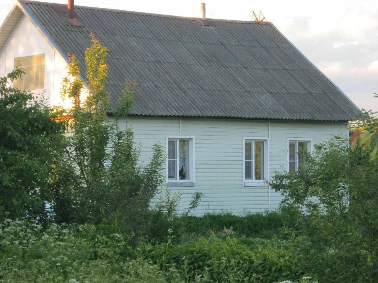 Купить недвижимость псковская область. Деревня маево Новосокольнический район. Деревня маево Псковская область. Деревня маево Псковская область Новосокольнический район. Деревня Пустошка Псковская область.