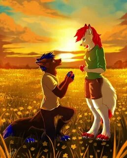 Furry love