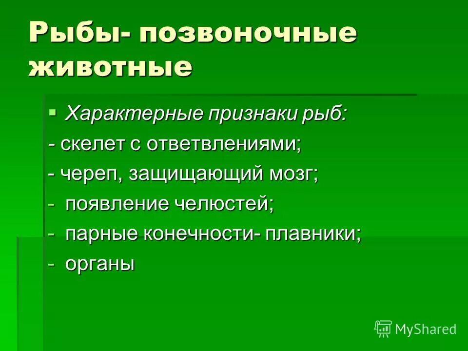 Появление челюстей у позвоночных