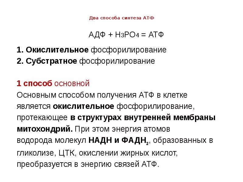 Субстратное атф. Основные способы фосфорилирования АДФ. Основные пути фосфорилирования АДФ. Два способа синтеза АТФ. Основные способы синтеза АТФ.