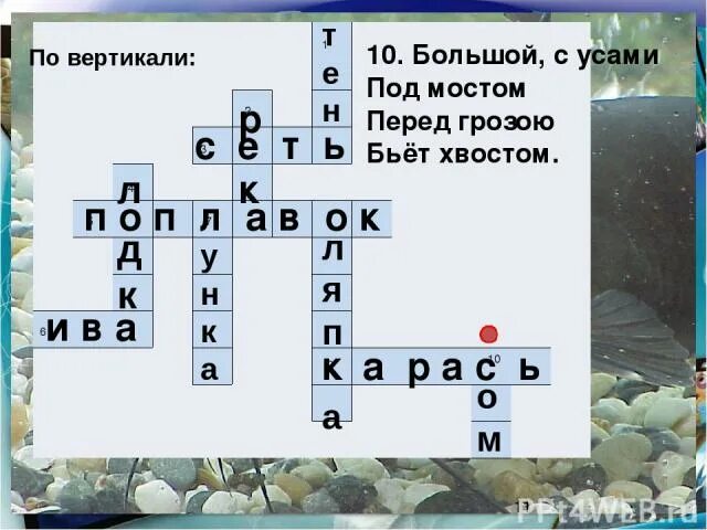 Озеро сканворд 9. Кроссворд по теме реки и озера. Кроссворд на тему реки и озера. Кроссворд по теме реки. Кроссворд на тему реки России.