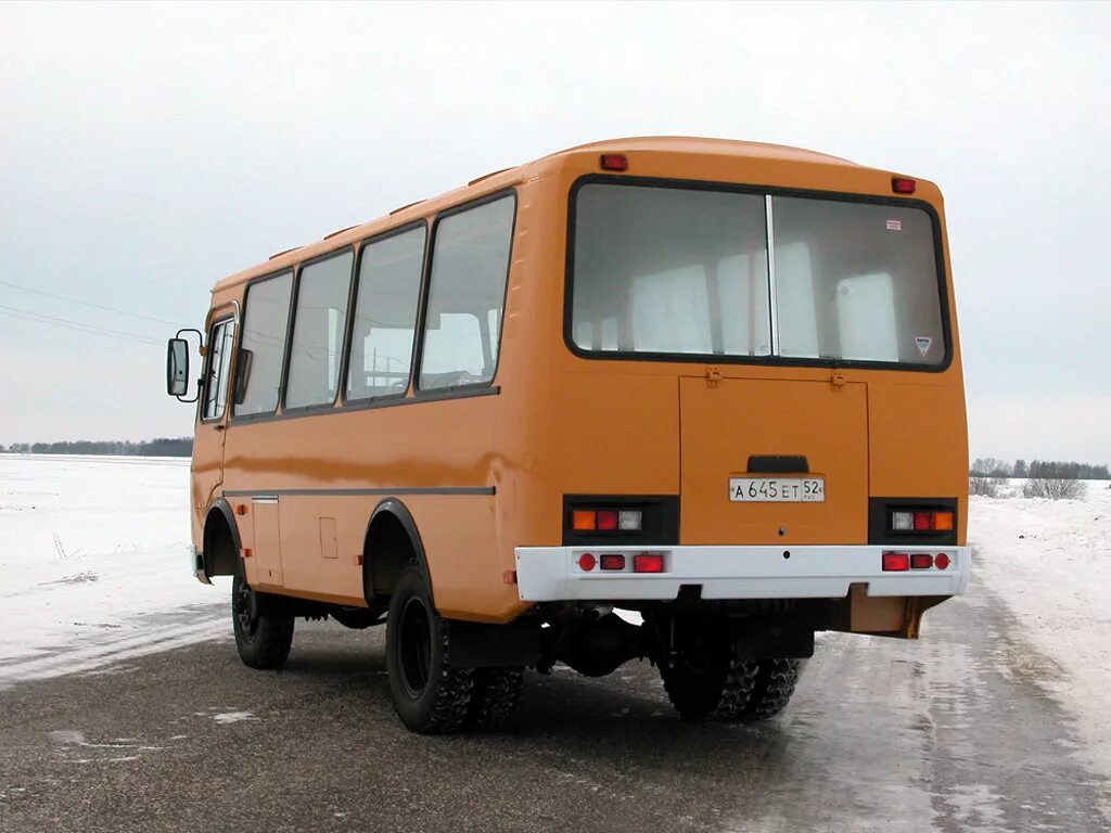 Паз 3206 купить. ПАЗ 3206-110-60. ПАЗ-3206 автобус. ПАЗ 3206-02. ПАЗ 3206 школьный автобус.