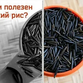 Польза дикого