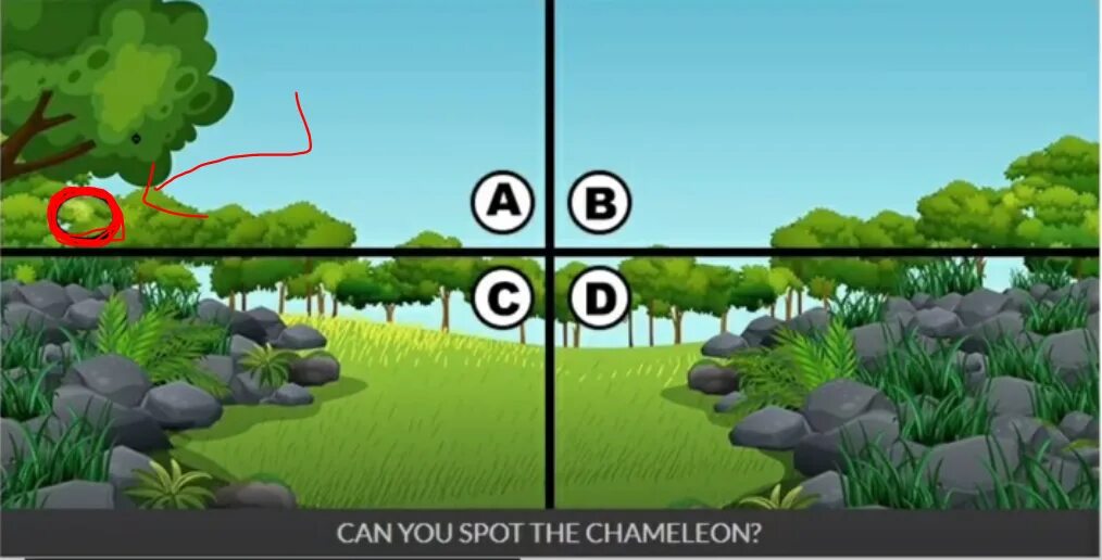 Хамелеон тест ответы. Spot the Chameleon 2021. Spot the Chameleon ответы. Блокс ленд ответы spot the Chameleon. Spot the Chameleon 2 ответы.