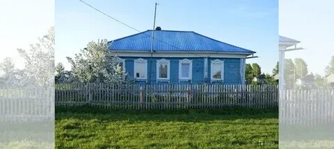 Авито тайга кемеровская