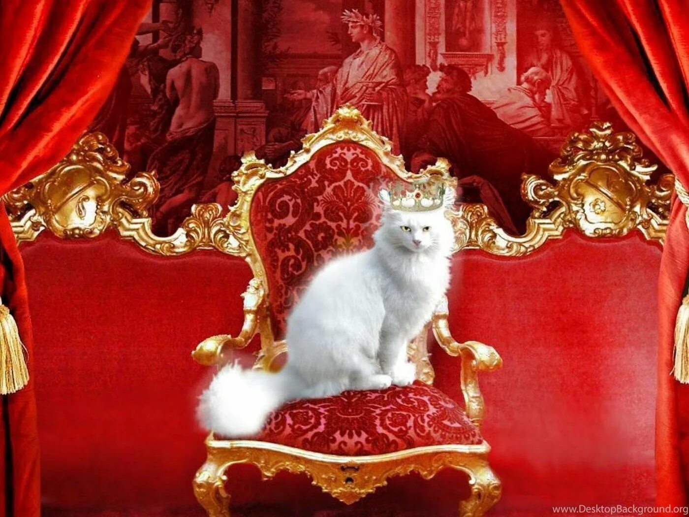 Царский кот. Британский кот в короне. Кот в короне. Котик с короной. Король кошек ирусан.