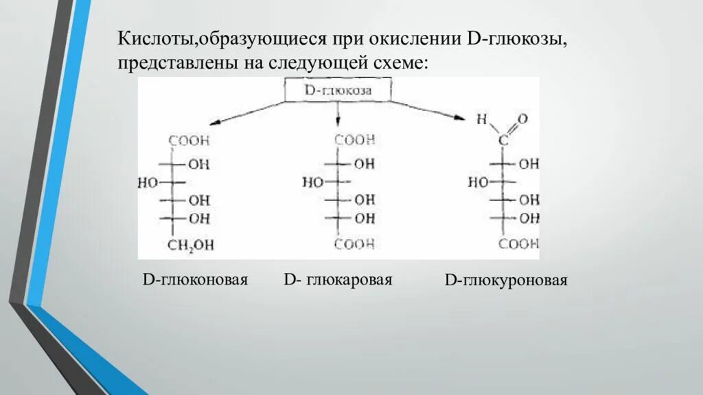 Окисление Глюкозы глюкуроновая кислота. Окисление d Глюкозы до глюкуроновой кислоты. Окисление до глюкуроновой кислоты. D-глюкуроновую кислоту глюкаровая кислота.