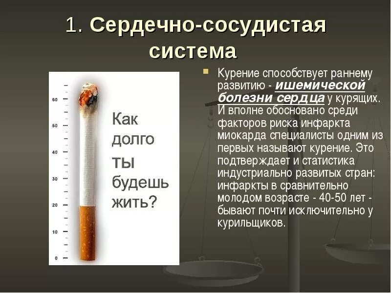 Кто нас заставляет курить. Классификация курения. Как называют курящих людей. Как называют курящих людей. Заставляют курить.