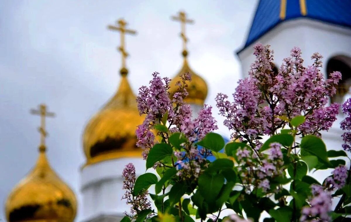 Картинка дня православная. Храм Весна. Православный храм весной. Цветы в храме. Природа Весна храм.