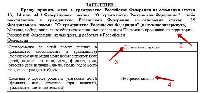 Заявление на гражданство российской федерации. Заявление на гражданство. Ходатайство о приеме в гражданство. На чье имя подается заявление о приеме в гражданство Российской. Заявление принятие гражданства пример.