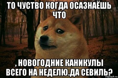 На этой неделе да