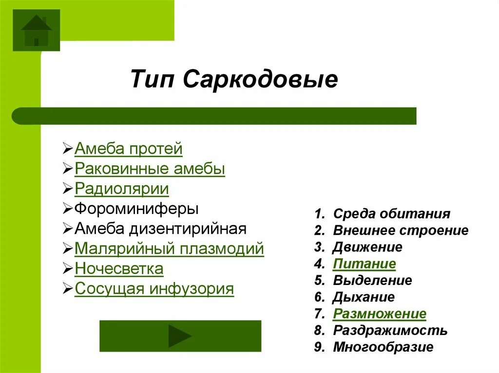 Среда обитания саркодовых. Тип Саркодовые среда обитания. Тип Саркодовые питание дыхание выделение размножение. Тип Саркодовые раздражимость. Питание дыхание движение