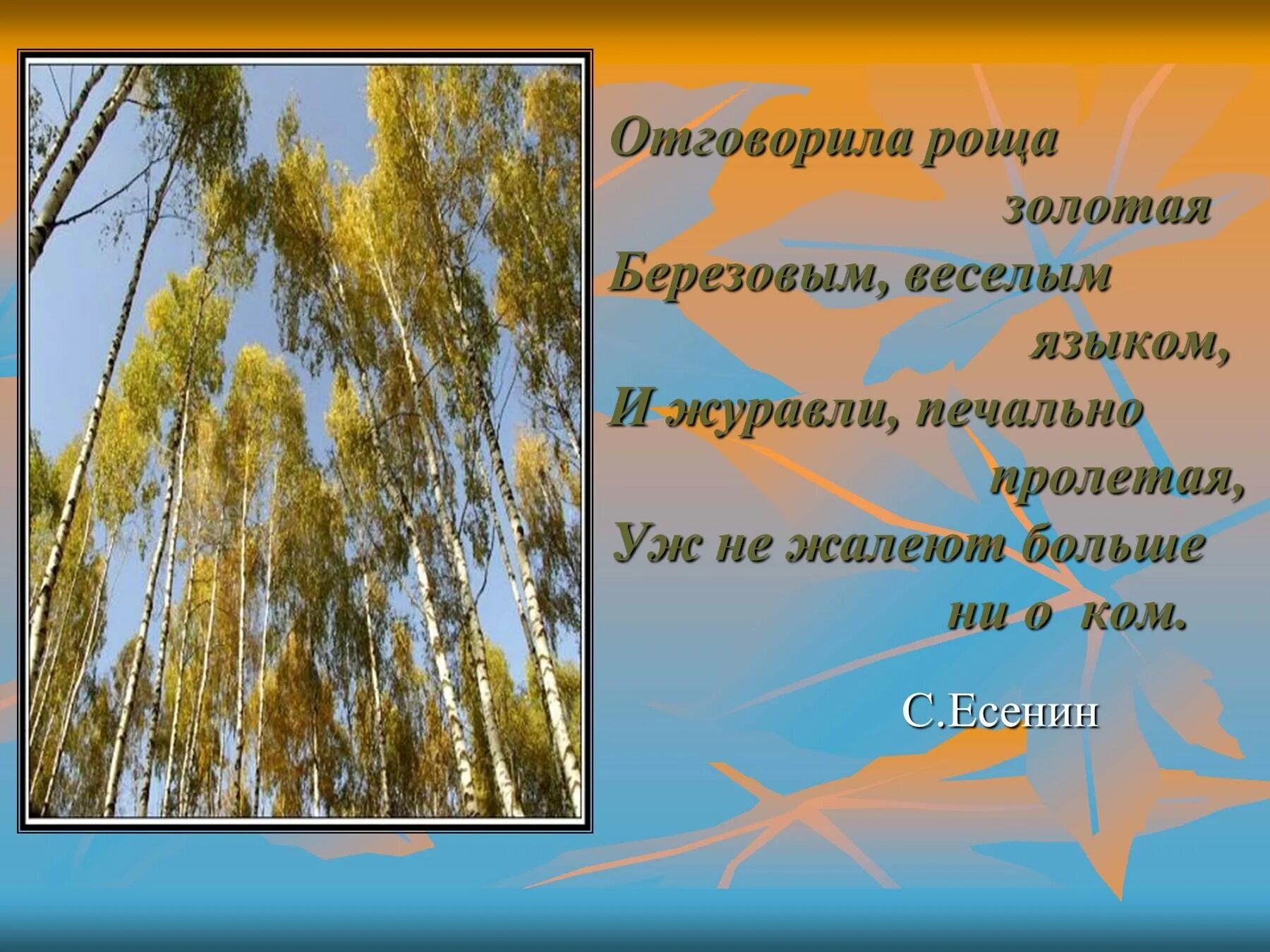 Берёзовая роща стихотворение есенина. И журавли печально пролетая уж не жалеют больше. Отговорила роща березовым языком. Отговорила роща золотая березовым веселым. Стих есенина отговорила роща золотая.