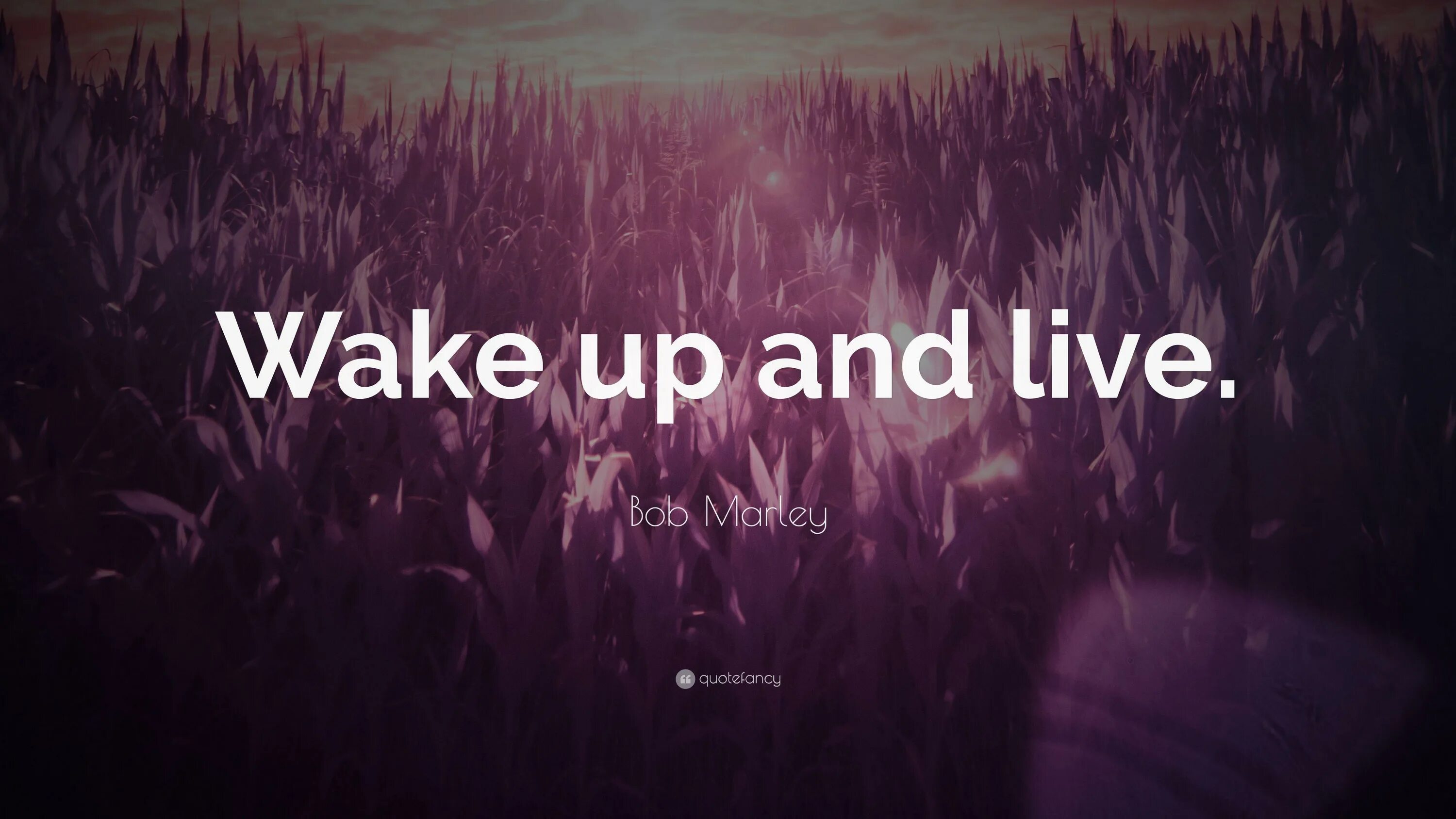 Wake up, Farm!. Wake up обои. Wake up обои на рабочий стол. Обои Wake up живые. Wake up now