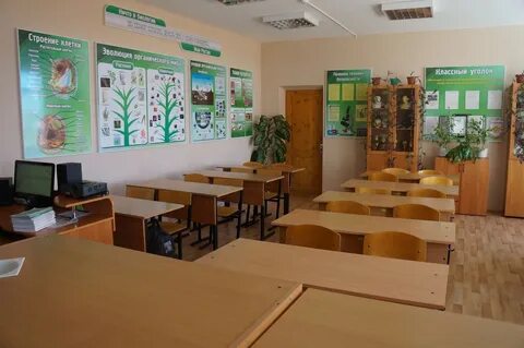 Как оформить класс биологии