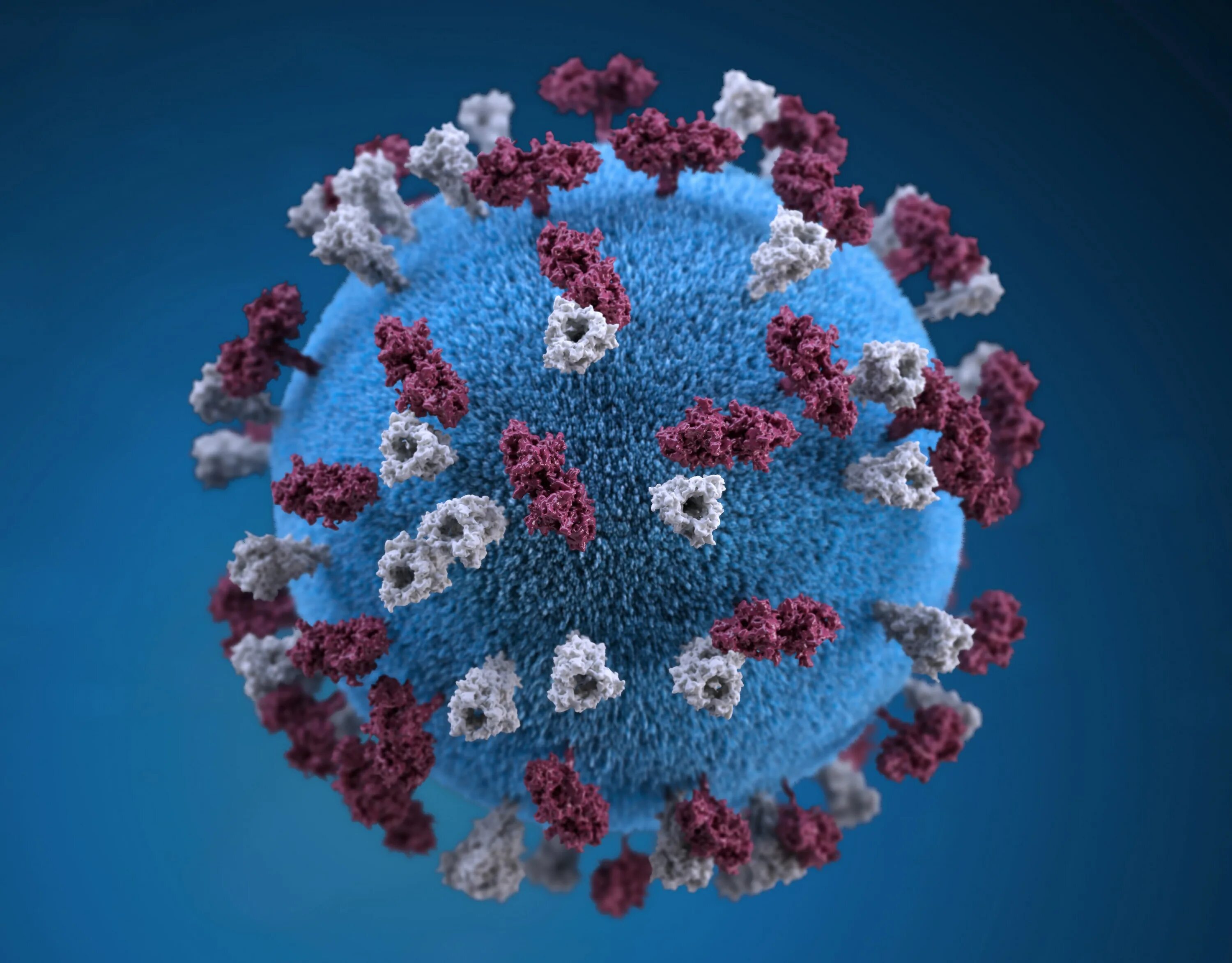 Корь вирус возбудитель. Covid-19. Вирус кори микрофотография. Корь происхождение