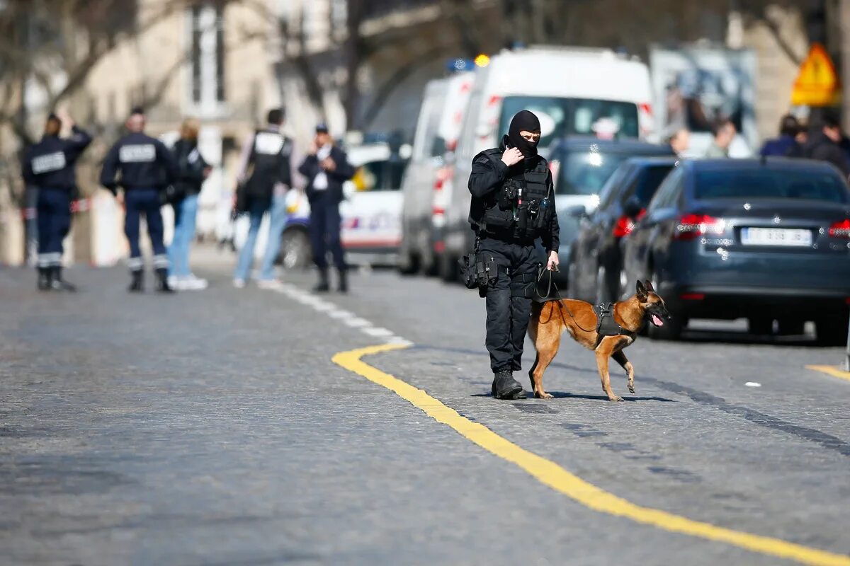 Кто стоит за нападением. IMF Paris.