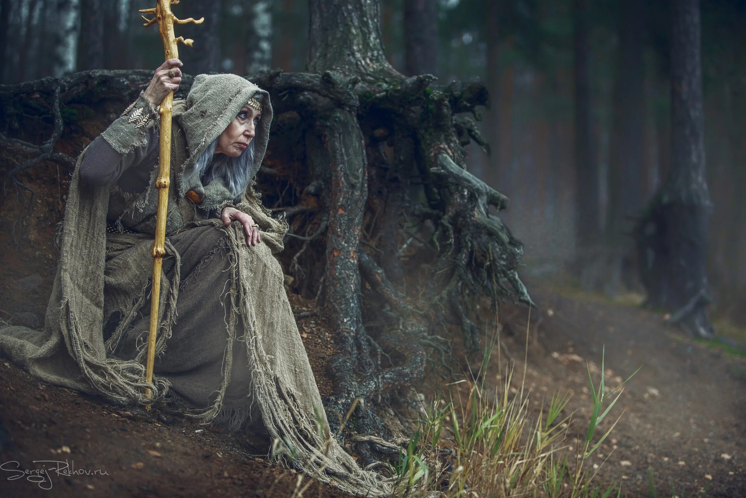 Лесная ведьма часть 1 том 1. Колдунья в лесу. Фотосессия ведьма в лесу. Ведьмин лес.