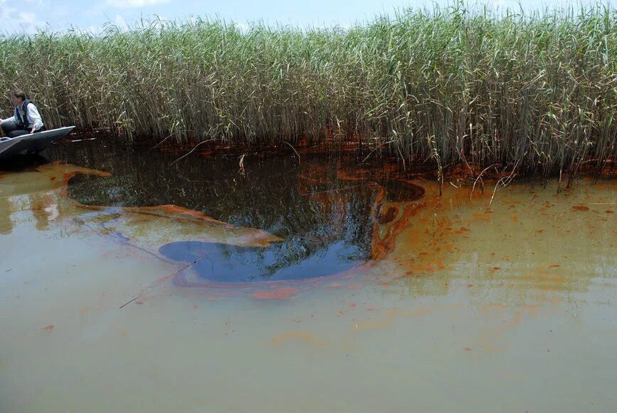 загрязненные воды рек амурская область. загрязнение водоемов нефтепродуктами. нефтепродукты в водоемах. нефтяная катастрофа в западной сибири. река шипуниха загрязнение нефтепродуктами.