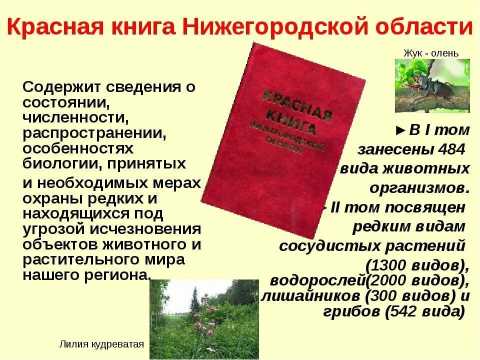 Красная книга нижегородской области проект Красная книга нижегородской области проект