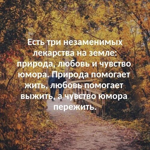 Юмор помогает жить. Есть три незаменимых лекарства на земле. Есть три лекарства на земле природа любовь. Есть три проявления Бога на земле. Природа любовь и чувство юмора.