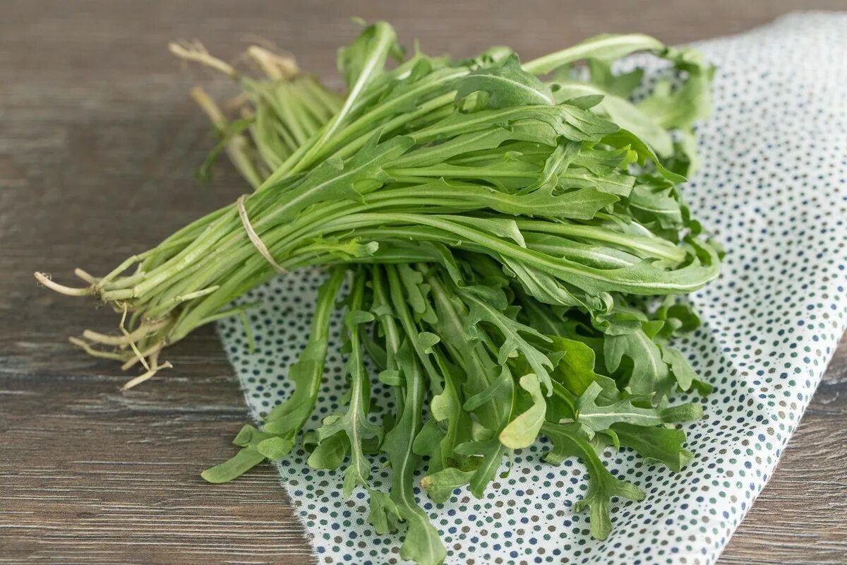 Eruca sativa руккола. Руккола круглолистная. Кресс-салат и руккола. Руккола амаретто. Зелень руккола.