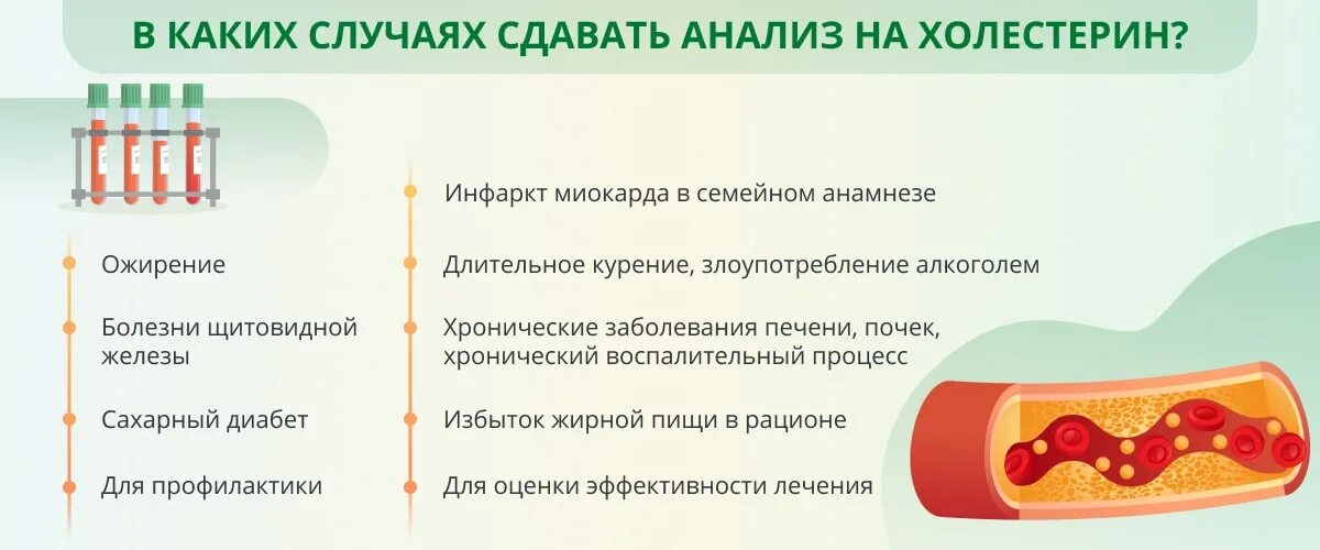 Тест на холестерин. Экспресс тест на холестерин. Анализатор уровня холестерина в крови. Холестерин в крови.