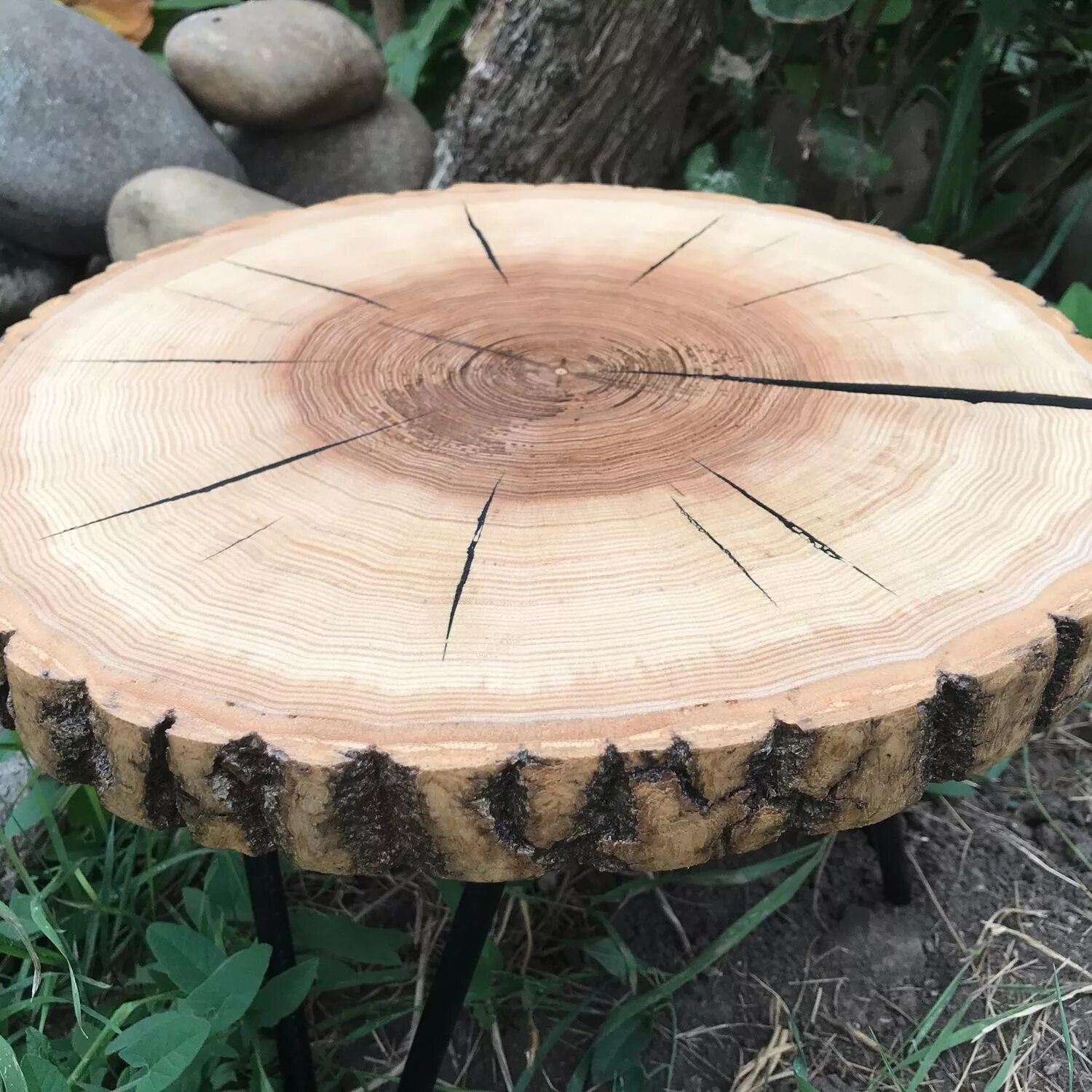 Подставка срез дерева. Подставка из спила дерева. Подставка спил. Подставки из спилов дерева. Ножки для стола из спила.