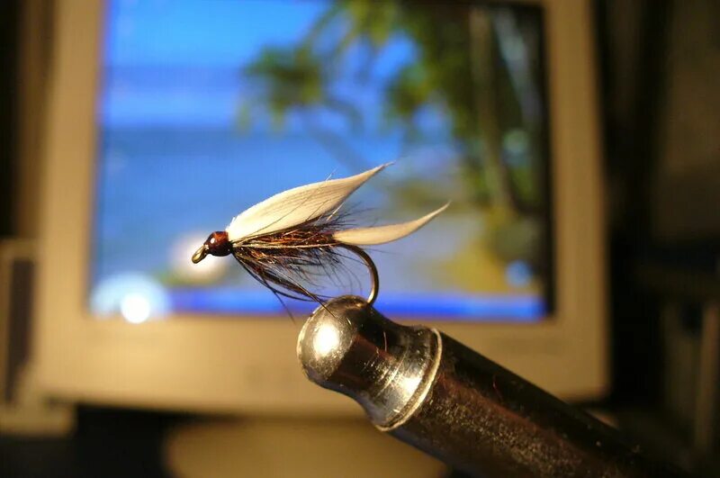 Fly fishing мушки. Classic fly fishing. занятия на гамаках. лера корд фитнес. Classic salmon fly.