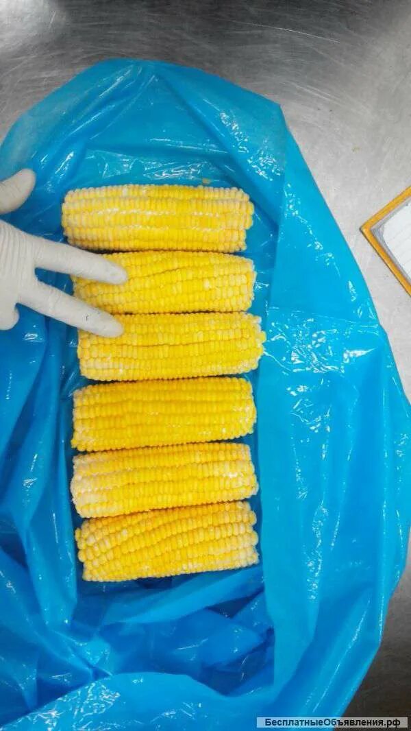 Морозят ли кукурузу в початках на зиму
