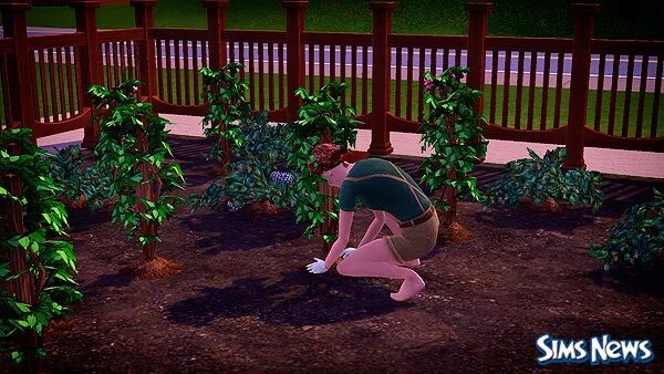 Симс 2 моды. Симс 4 метеорит. Аппалуза плейнс. The sims 3. Cas в симс 3.