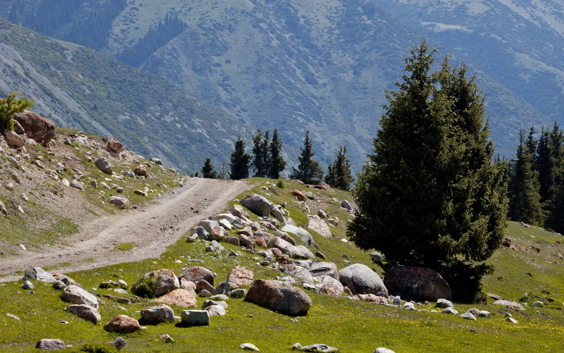 Ущелья иссык куля. Ущелья иссык куля. Григорьевское ущелье киргизия иссык-куль. Семеновское и григорьевское ущелье киргизия. Семеновское ущелье иссык-куль.