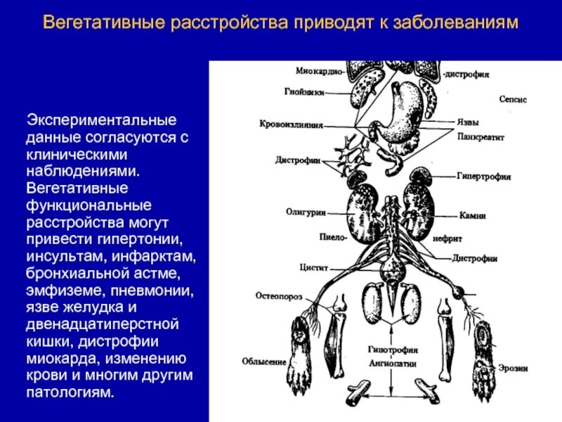 Что такое вегетативное расстройство. Вегетативные расстройства. Расстройство вегетативной нервной системы. Вннеративное расстройство. Астеновегетативные нарушения.