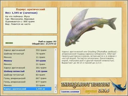 Белый байкальский хариус реальная рыбалка