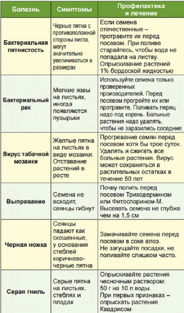 Чем обработать после томатов. Таблица болезней рассады. Болезни рассады томатов с картинками таблица. Болезни и вредители на рассаде перца сладкого. Препараты от болезней рассады томатов.