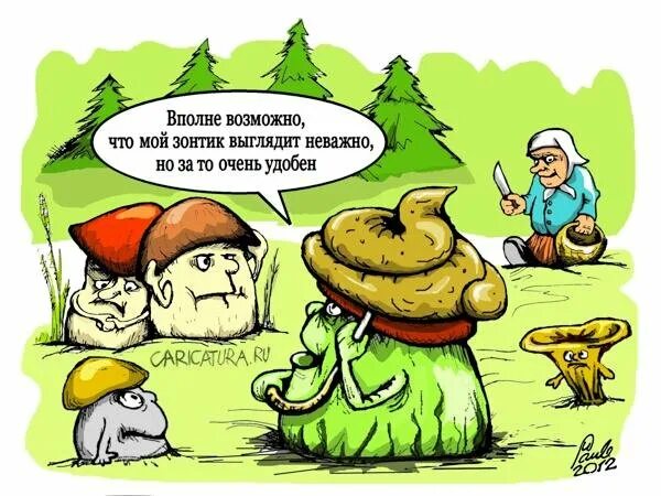 грибники приколы. грибники приколы. шутки про грибы. грибники приколы. карикатура за грибами.