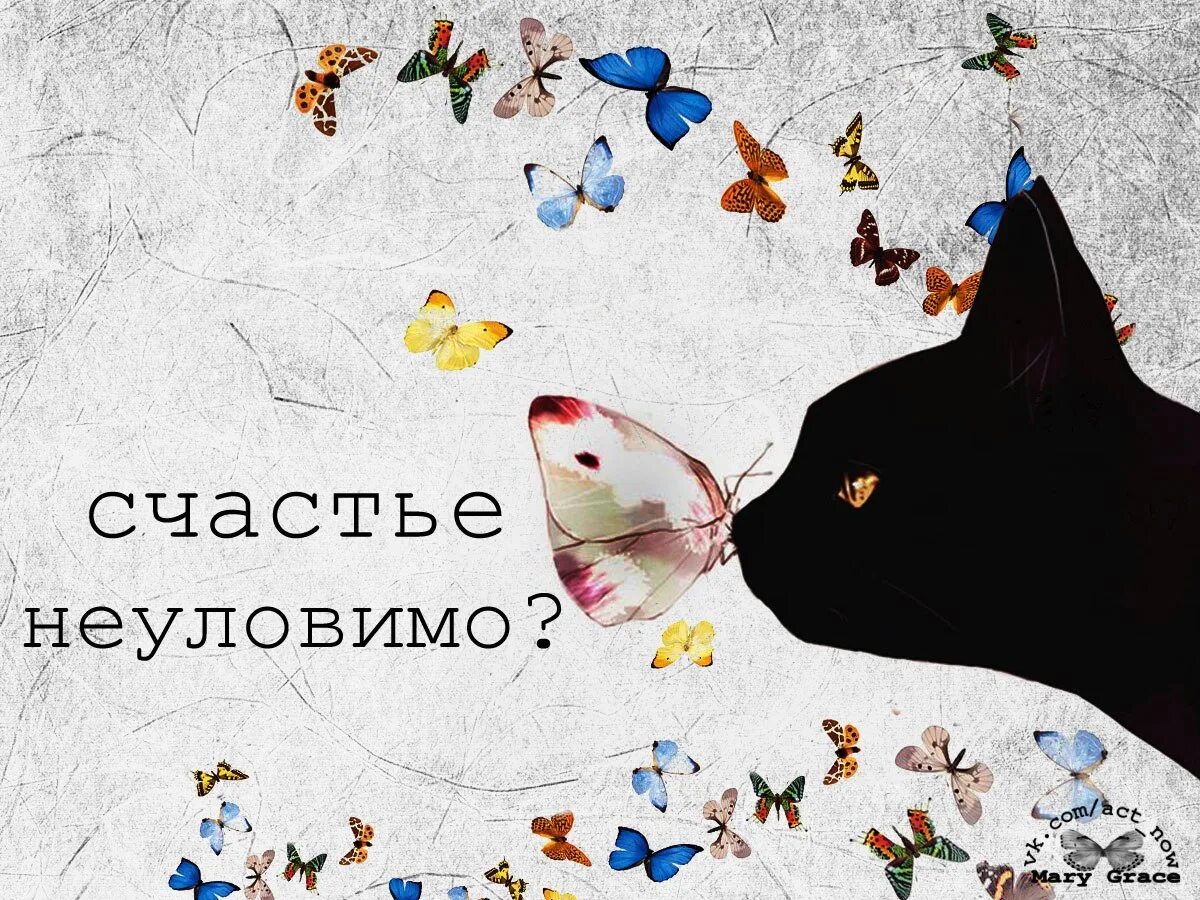 Счастье есть его не может быть. Ловить счастье. счастье так неуловимо. лови счастье. открытки счастье есть его не может не быть.