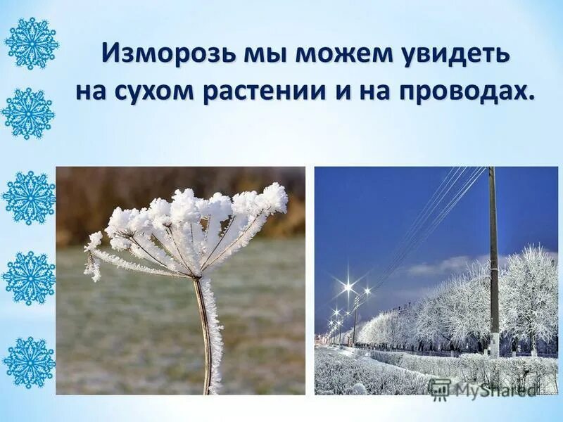 Изморозь зернистая и кристаллическая. Иней и изморозь разница. Изморозь это простыми словами. Изморозь. Зимние природные явления презентация.