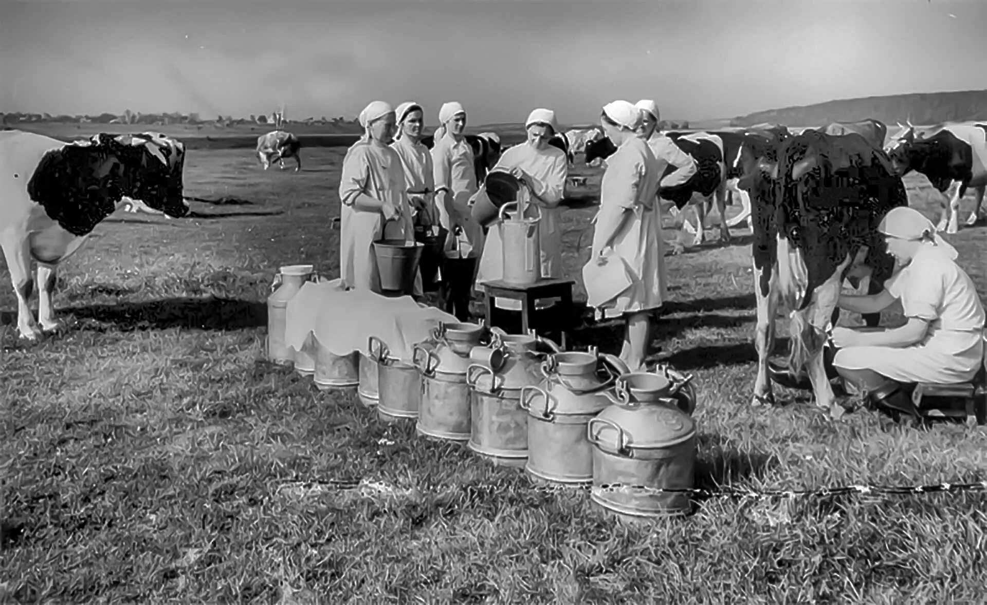 1929 Год колхоз им. Мичурина в Тюменской области. Колхоз имени Ленина Волгоградская область. Колхоз имени Ленина в СССР. Совхоз и колхоз 1950. Сельское хозяйство в послевоенное время