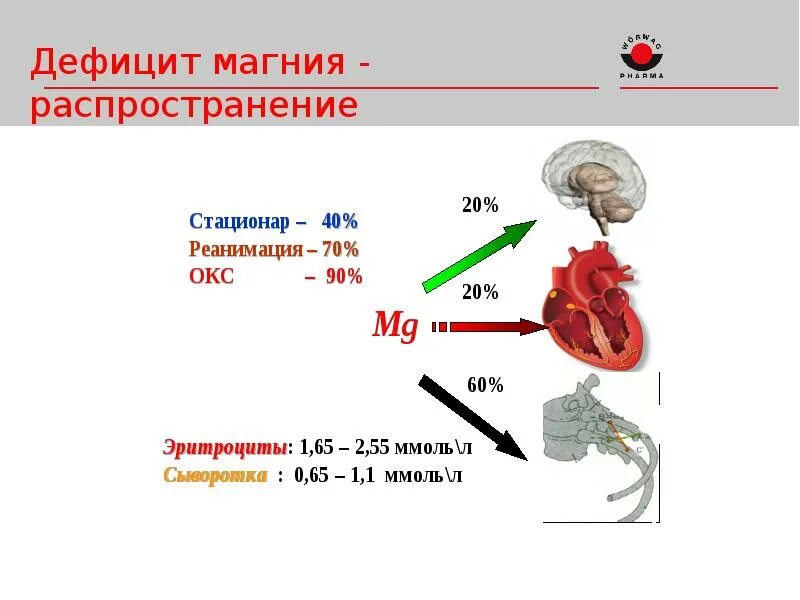 Недостаток магния в организме мужчины. Дефицит магния в организме. Клинические проявления дефицита магния. При дефиците магния. При дефиците магния в организме.