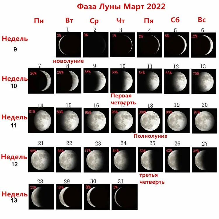 Таблица новолуний и полнолуний. Новолунье 2022 растущая Луна. Фазы Луны в марте 2022. Календарь Луны 2022. Растущая Луна для стрижки волос.