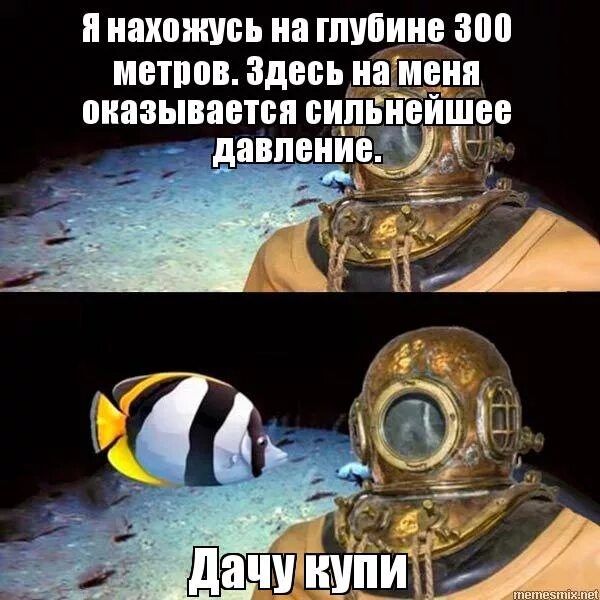 пузотерка прикол. глубина мем. я на глубине 300 метров здесь на меня оказывается сильнейшее давление. здесь на глубинах метров сформированы. здесь на глубинах метров сформированы.