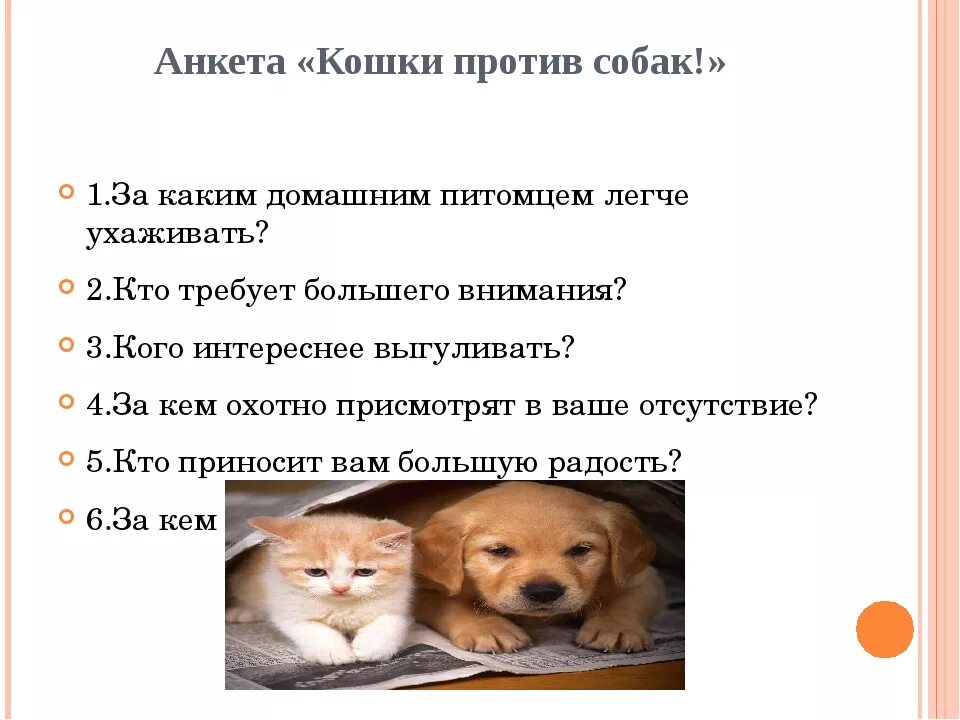 10 вопросов коту. Плюсы домашних животных. Домашний питомец выбрать. Плюсы и минусы кошек и собак. Кошки и собаки + и минусы.