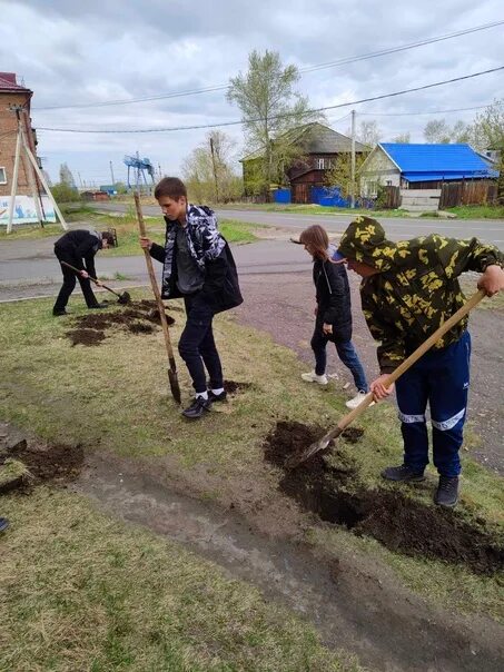 Школа 20 Тулун учителя. Школа Сосново. Организация мероприятий по озеленению городов и сел Архангельск.