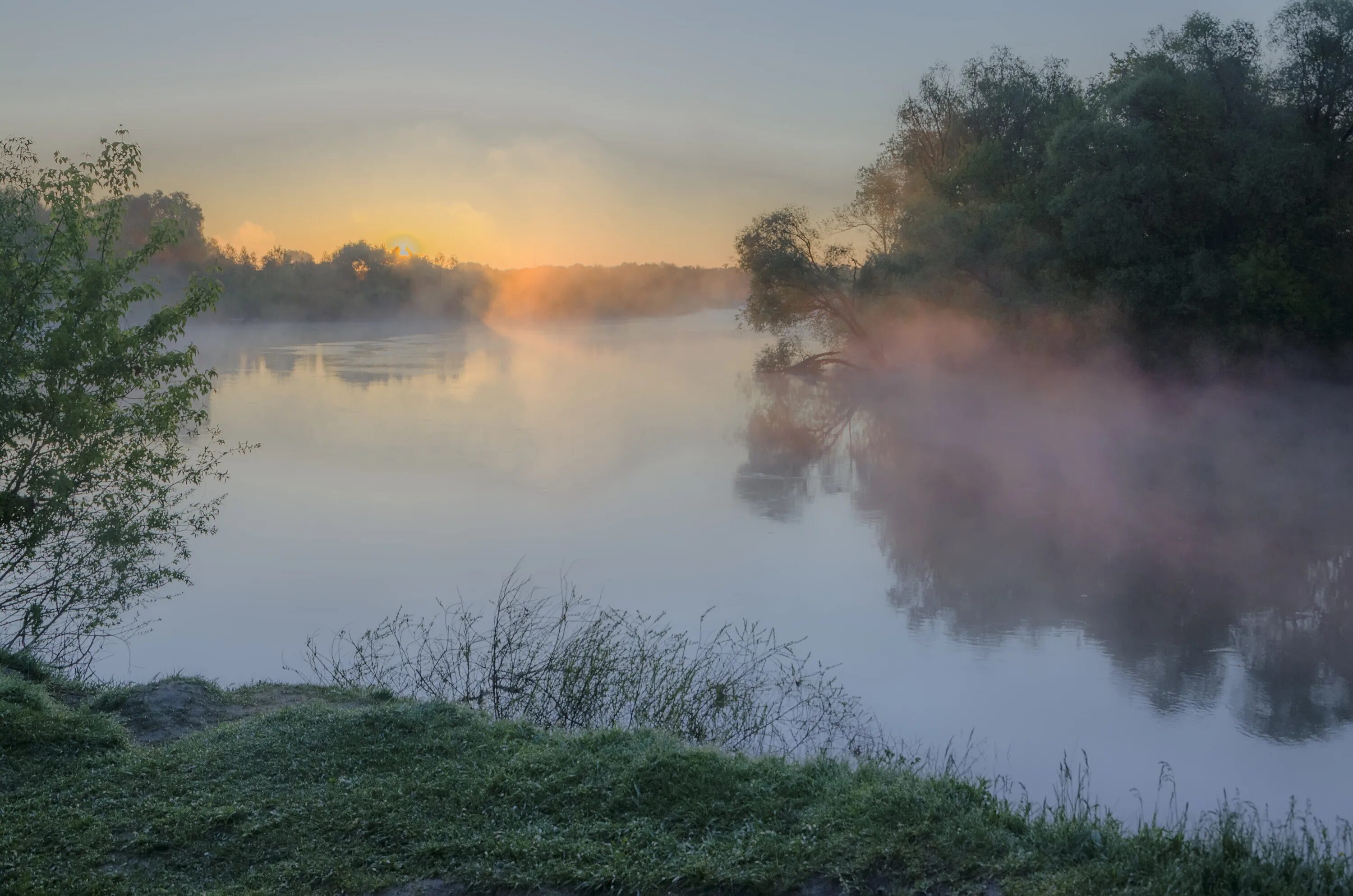 Река десна фото. Река десна брянск. Река узола. Волга река березка. Река ипуть брянская область.