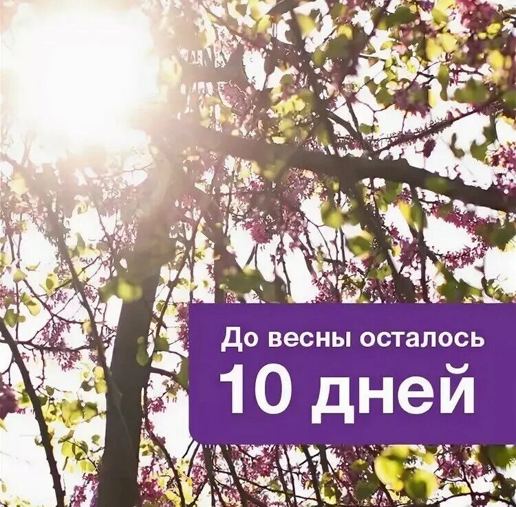 до весны дней. 10 дней до весны как это было. десять дней до весны. 10 дней до весны как это было. 10 дней до весны как это было.